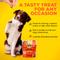 Show in main carousel: Brutus Broth Bone Broth Pork & Apple Biscuits Natural Limited Ingredient Crunchy Dog Treats, 8-oz bag​ slide 5 of 12