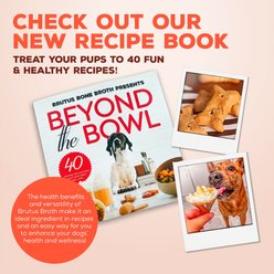 Brutus Broth Bone Broth Beef Biscuits Natural Limited Ingredient Crunchy Dog Treats, 8-oz bag​ slide 2 of 9