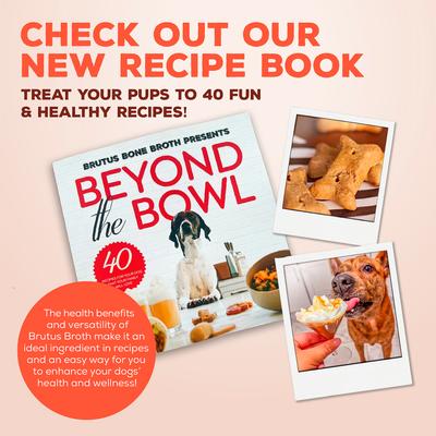 Show full view: Brutus Broth Bone Broth Beef Biscuits Natural Limited Ingredient Crunchy Dog Treats, 8-oz bag​ slide 7 of 12