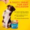Show in main carousel: Brutus Broth Bone Broth Beef Biscuits Natural Limited Ingredient Crunchy Dog Treats, 8-oz bag​ slide 5 of 12