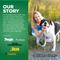 Show in main carousel: Brutus Broth Brothcicles Turkey Bone Broth Flavor with Superfoods for Hydration Dog Wet Food Topper, 2-oz pouch, case of 6 slide 9 of 11