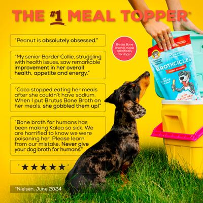 Show full view: Brutus Broth Brothcicles Turkey Bone Broth Flavor with Superfoods for Hydration Dog Wet Food Topper, 2-oz pouch, case of 6 slide 6 of 11