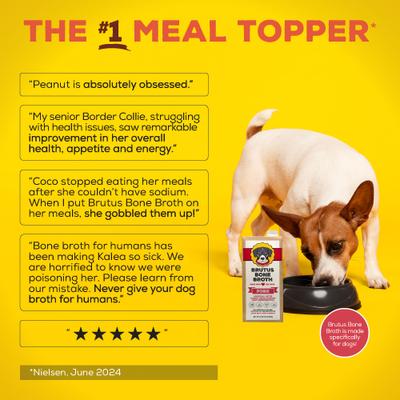 Show full view: Brutus Broth Pork Bone Broth Hip & Joint with Glucosamine Dog Food Topper, 32-oz box slide 5 of 12
