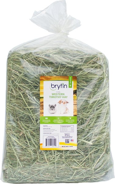 Brytin 1st Cutting All-Natural Western Timothy Hay Chinchilla Food