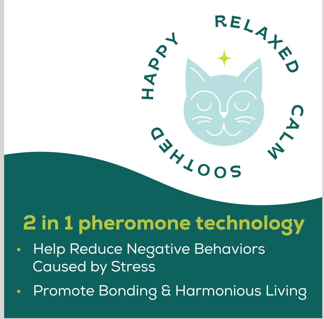 Cat Calming Pheromone Diffuser Refills For Free In Greenville, SC | For