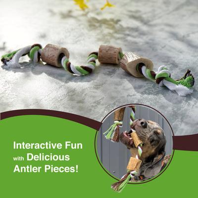 Show full view: Buck Bone Organics Antler Rope Dog Toy, Large slide 4 of 7