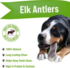 Buck Bone Organics Jumbo Split Elk Antler Dog Treats slide 2 of 5