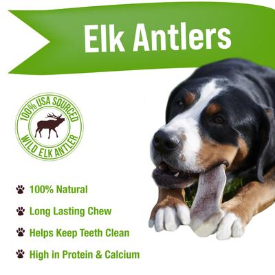 Show full view: Buck Bone Organics Jumbo Split Elk Antler Dog Treats slide 3 of 7