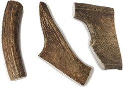 Buck Bone Organics Moose Antler Dog Treats, Large slide 2 of 5