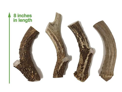 Show full view: Buck Bone Organics Premium Whole Deer Antler Dog Chew, 1 count, Large slide 5 of 11