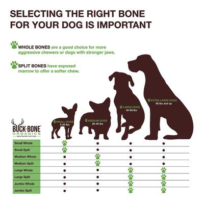 Show full view: Buck Bone Organics Premium Whole Deer Antler Dog Chew, 1 count, Large slide 6 of 11