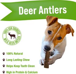 Buck Bone Organics Premium Whole Deer Antler Dog Chews, 6 count, Medium slide 2 of 9