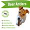 Show in main carousel: Buck Bone Organics Premium Whole Deer Antler Dog Chews, 6 count, Medium slide 3 of 11