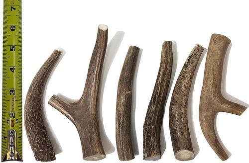 Show full view: Buck Bone Organics Premium Whole Deer Antler Dog Chews, 6 count, Medium slide 5 of 11
