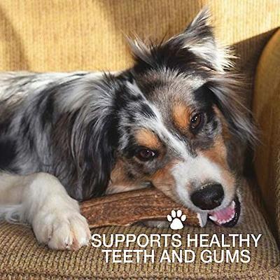 Show full view: Buck Bone Organics Premium Whole Deer Antler Dog Chews, 6 count, Medium slide 8 of 11
