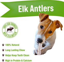 Buck Bone Organics Small Split Elk Antler Dog Treats, 3 count bag slide 2 of 6