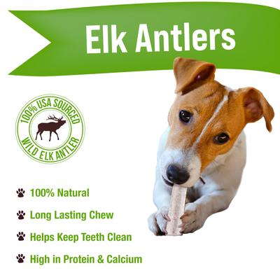 Show full view: Buck Bone Organics Small Split Elk Antler Dog Treats, 3 count bag slide 3 of 8