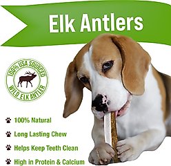 Buck Bone Organics Split Elk Antler Dog Chews, 4.5 - 5 in slide 2 of 9