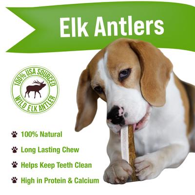 Show full view: Buck Bone Organics Split Elk Antler Dog Chews, 4.5 - 5 in slide 3 of 11