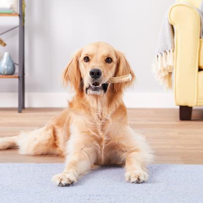 Show full view: Buck Bone Organics Split Elk Antler Dog Chews, 4-in slide 6 of 11