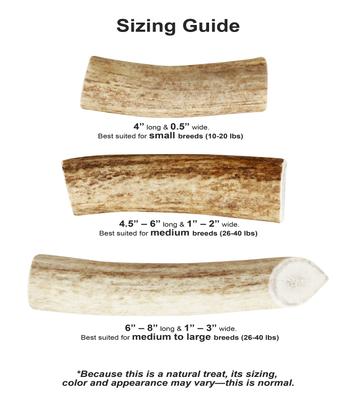 Show full view: Buck Bone Organics Split Elk Antler Dog Chews, 4-in slide 8 of 11