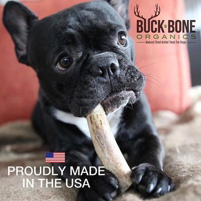 Show full view: Buck Bone Organics Split Elk Antler Dog Chews, 4-in slide 10 of 11