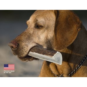 Buck Bone Organics Split Elk Antler Dog Chews, 6 - 7 in