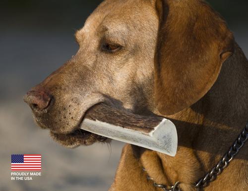 Show full view: Buck Bone Organics Split Elk Antler Dog Chews, 6 - 7 in slide 5 of 11