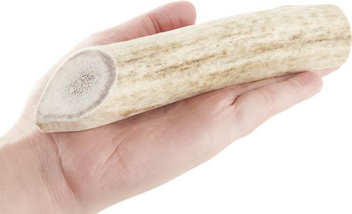 Show full view: Buck Bone Organics Split Elk Antler Dog Chews, 6 - 7 in slide 7 of 11