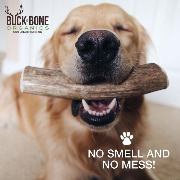 Show full view: Buck Bone Organics Split Elk Antler Dog Chews, 6 - 7 in slide 9 of 11