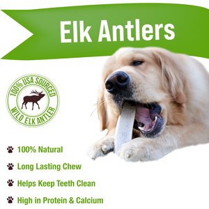 Buck Bone Organics Split Elk Antler Dog Treats, 2 count bag, Large