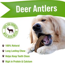 Buck Bone Organics Whole Deer Antlers Dog Chews, 1-lb bag slide 2 of 8