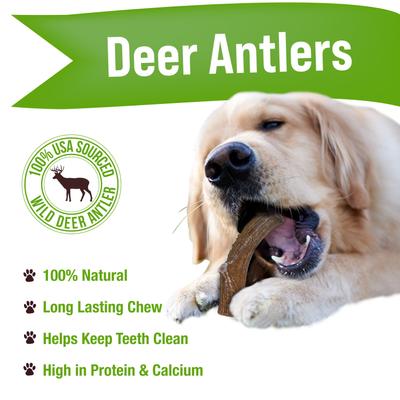 Show full view: Buck Bone Organics Whole Deer Antlers Dog Chews, 1-lb bag slide 3 of 10