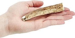 Buck Bone Organics Whole Elk Antler Dog Chews, 4-in slide 2 of 8