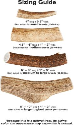 Show full view: Buck Bone Organics Whole Elk Antler Dog Chews, 4-in slide 8 of 9