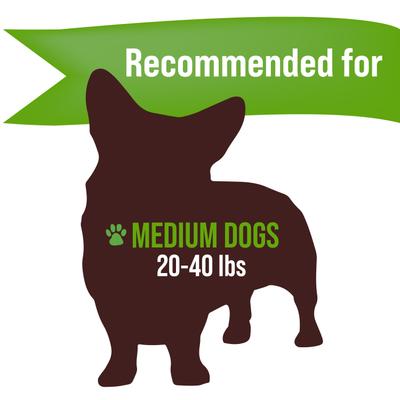 Show full view: Buck Bone Organics Whole Elk Antler Dog Treats, 2 count, Medium slide 4 of 8