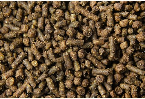 Show full view: Buckeye Nutrition Cadence Ultra Horse Feed, 50-lb bag slide 3 of 5