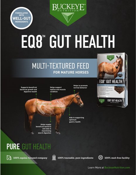 Buckeye Nutrition EQ8 Gut Health Mature Horse Feed