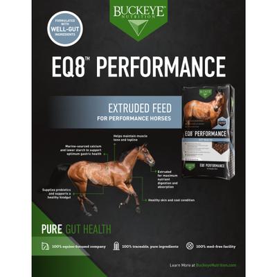 Show full view: Buckeye Nutrition EQ8 Performance Gut Health Horse Feed, 40-lb bag slide 4 of 5