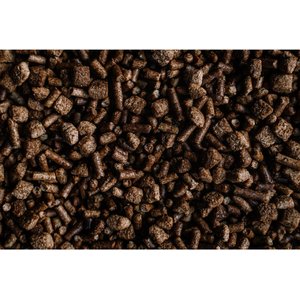 Buckeye Nutrition EQ8 Gut Health Multi-Textured Senior Horse Feed, 50-lb bag