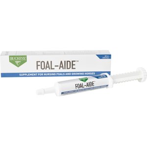 Buckeye Nutrition Foal-Aide Vitamin & Mineral Paste Horse Supplement, 30-cc syringe