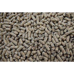 Buckeye Nutrition Foal Starter Milk-Based Pelleted Foal Creep Feed, 50-lb bag