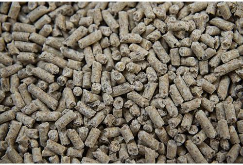 Show full view: Buckeye Nutrition Foal Starter Milk-Based Pelleted Horse Feed, 50-lb bag slide 3 of 5