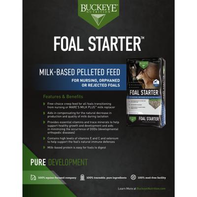 Show full view: Buckeye Nutrition Foal Starter Milk-Based Pelleted Horse Feed, 50-lb bag slide 4 of 5