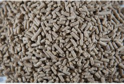 Buckeye Nutrition Gro 'N Win Alfa Horse Feed, 50-lb bag slide 2 of 4