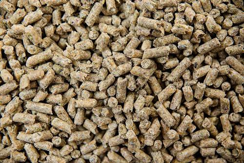 Show full view: Buckeye Nutrition Gro 'N Win Pelleted Feed + All-Natural Apple Horse Treats slide 5 of 7