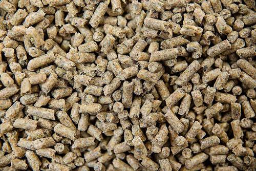 Show full view: Buckeye Nutrition Gro 'N Win Pelleted Feed + Reasons Joint Support Horse Treats slide 5 of 9