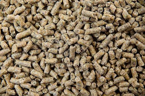 Show full view: Buckeye Nutrition Gro 'N Win Pelleted Feed + Ultimate Finish 25 High-Fat Weight Gain Pellets Horse Supplement slide 4 of 7