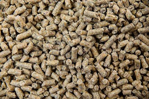 Show full view: Buckeye Nutrition Gro 'N Win Pelleted Horse Feed, 30-lb bag, bundle of 2 slide 5 of 6