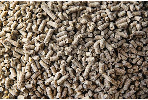 Show full view: Buckeye Nutrition Growth Pelleted Horse Feed, 50-lb bag slide 3 of 5